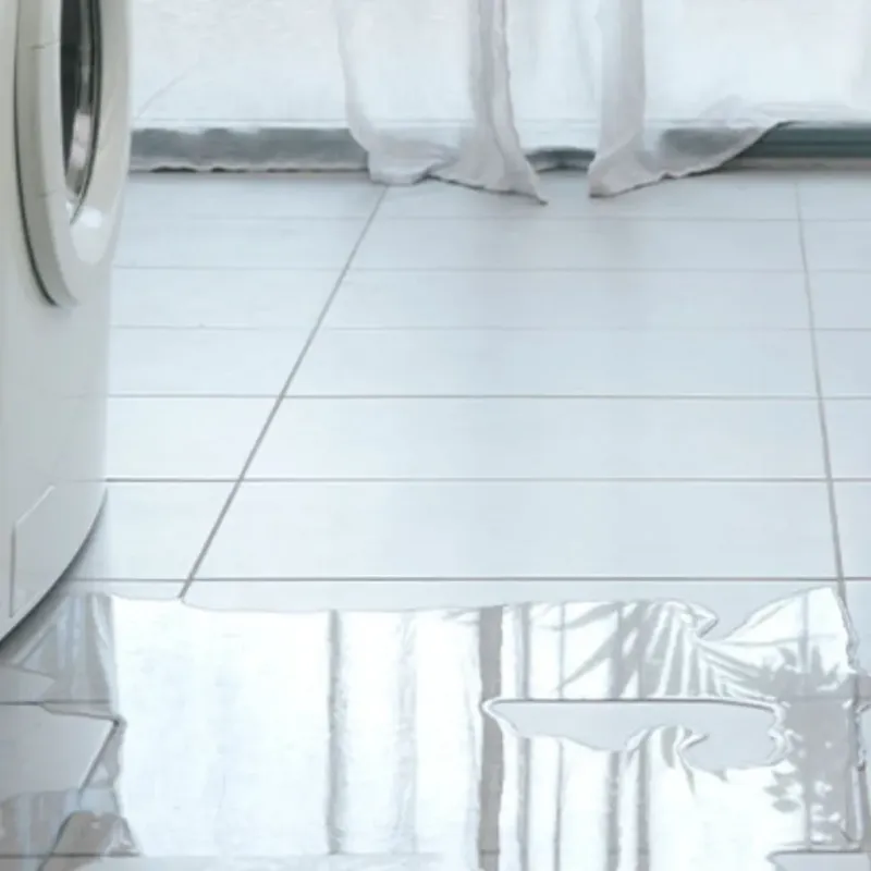 Appliance Leak Cleanup in Ogden, KS