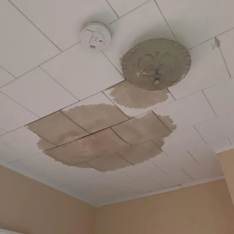 Ceiling Water Damage Repair in Ogden, KS