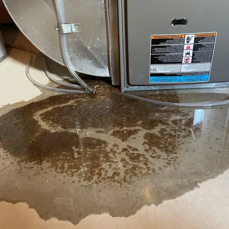 Pipe Burst and Leak Restoration in Ogden, KS