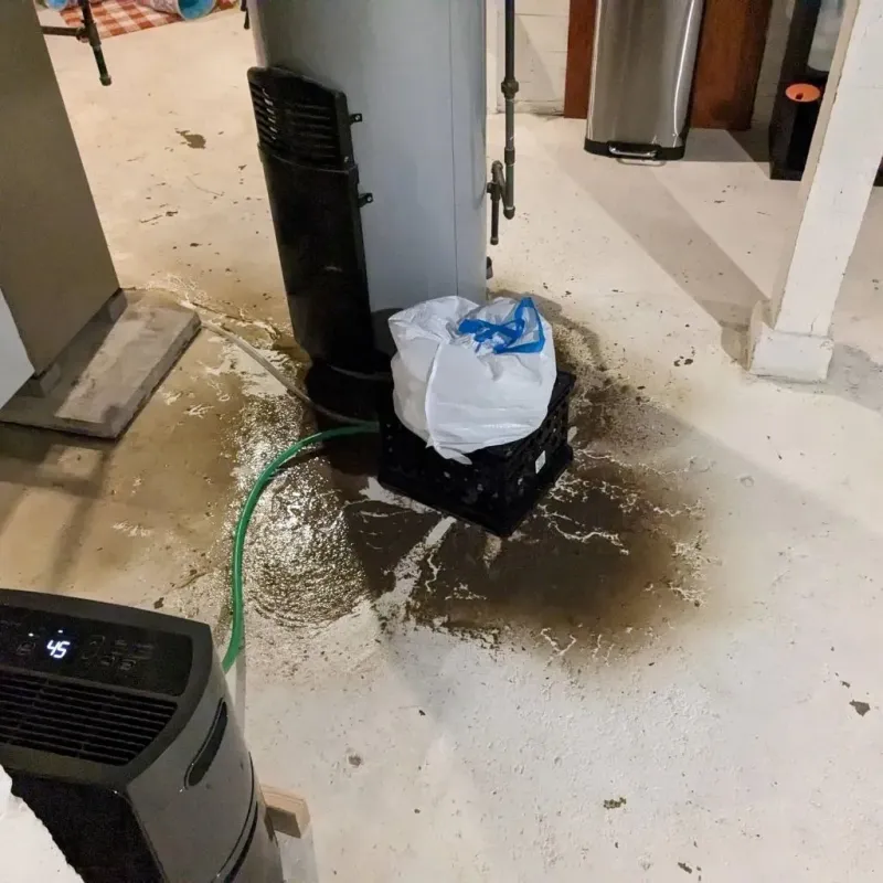 Sewage Backup Cleanup Service in Ogden, KS